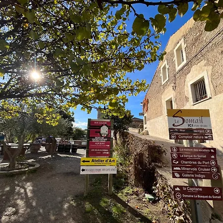 Louis Xiii, Le Somail. Apartment Ginestas Exterior photo