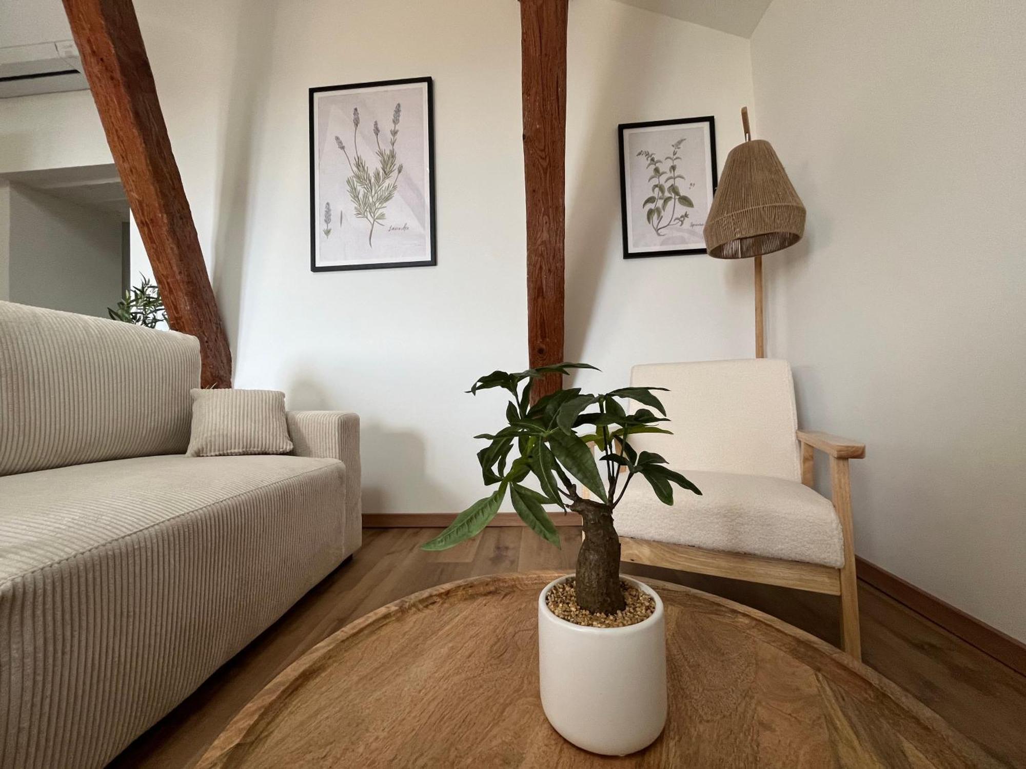 Appartement Louis Xiii, Le Somail. *